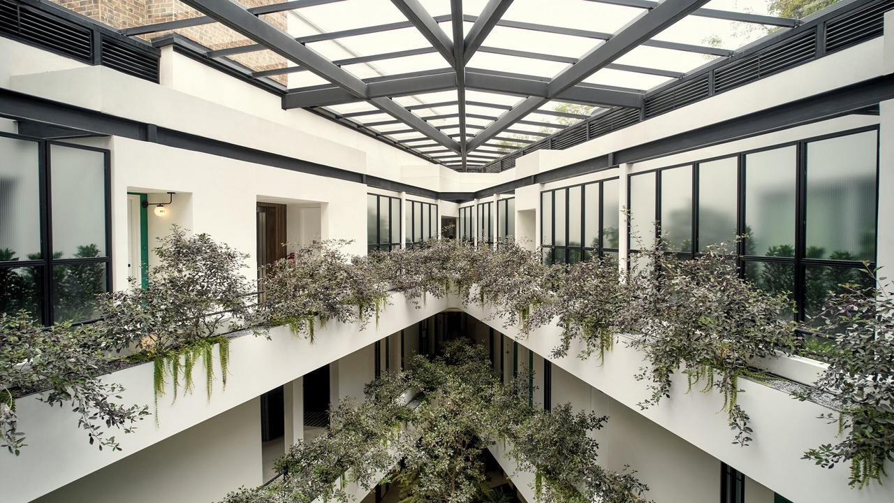 Photo of Others in Polanquito