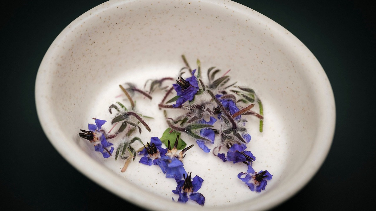 Photo of Others in Polanquito