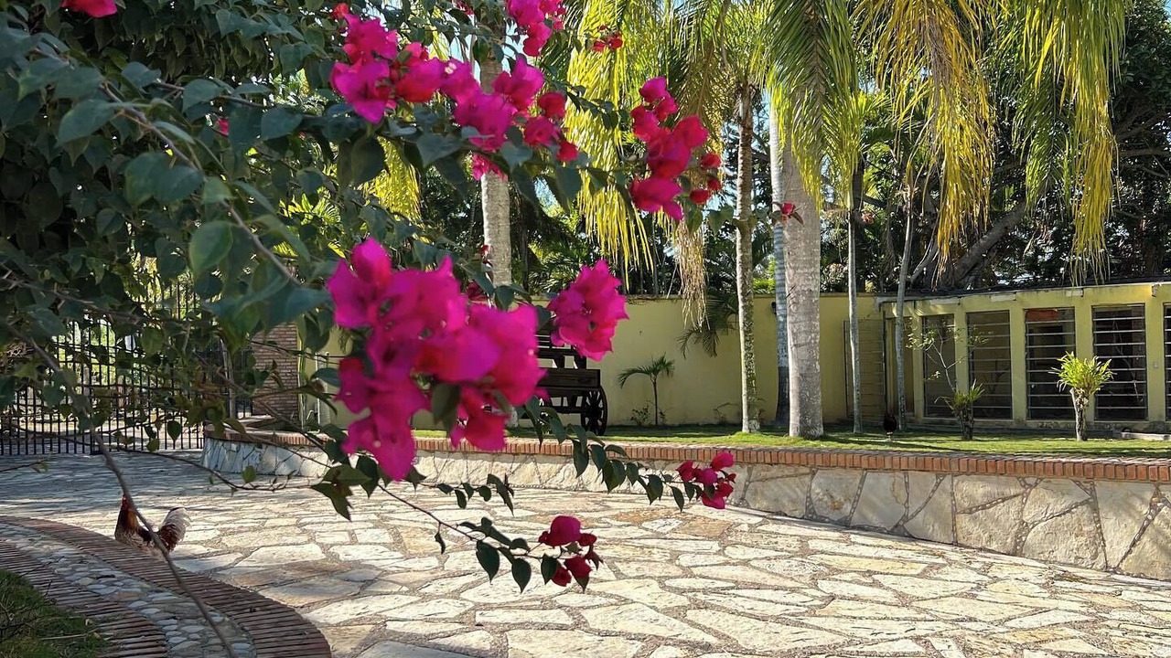 Photo of Outdoor in Pueblo Viejo