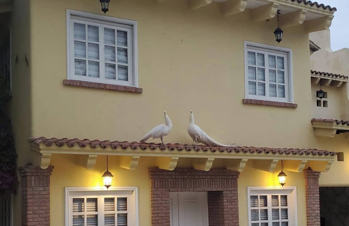 Photo of Outdoor in Pueblo Viejo
