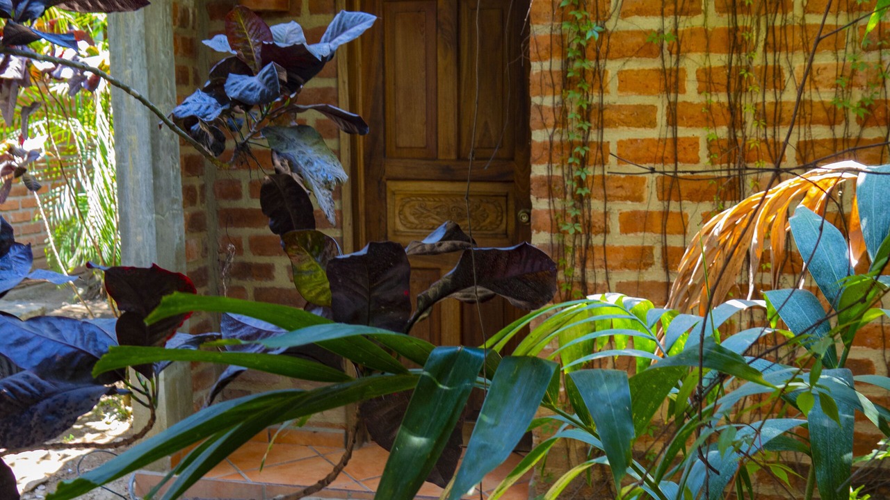 Photo of Bedroom in La Huerta