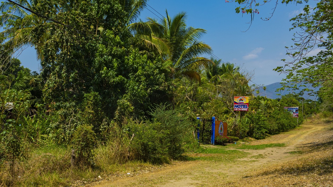 Photo of Outdoor in La Huerta