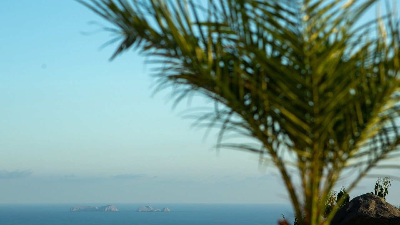 Photo of Patio Balcony in Cerro del Vigia