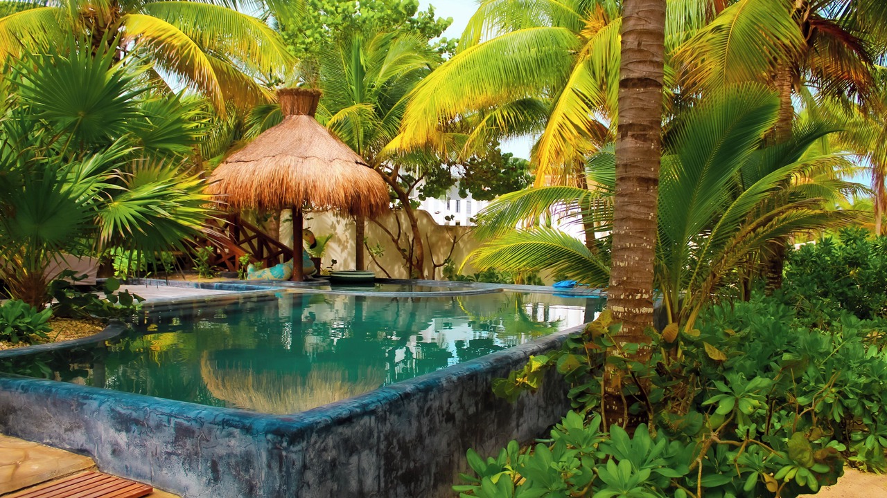 Photo of Outdoor in Progreso Municipality