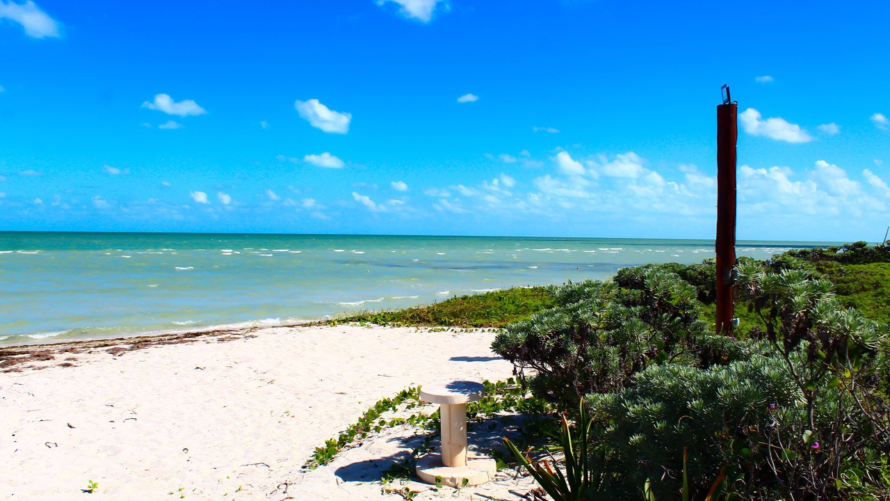 Photo of Others in Progreso Municipality