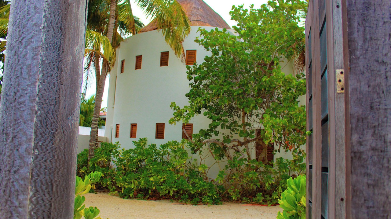 Photo of Outdoor in Progreso Municipality