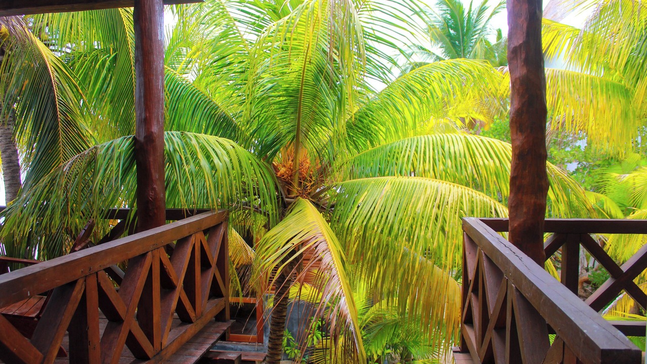 Photo of Outdoor in Progreso Municipality