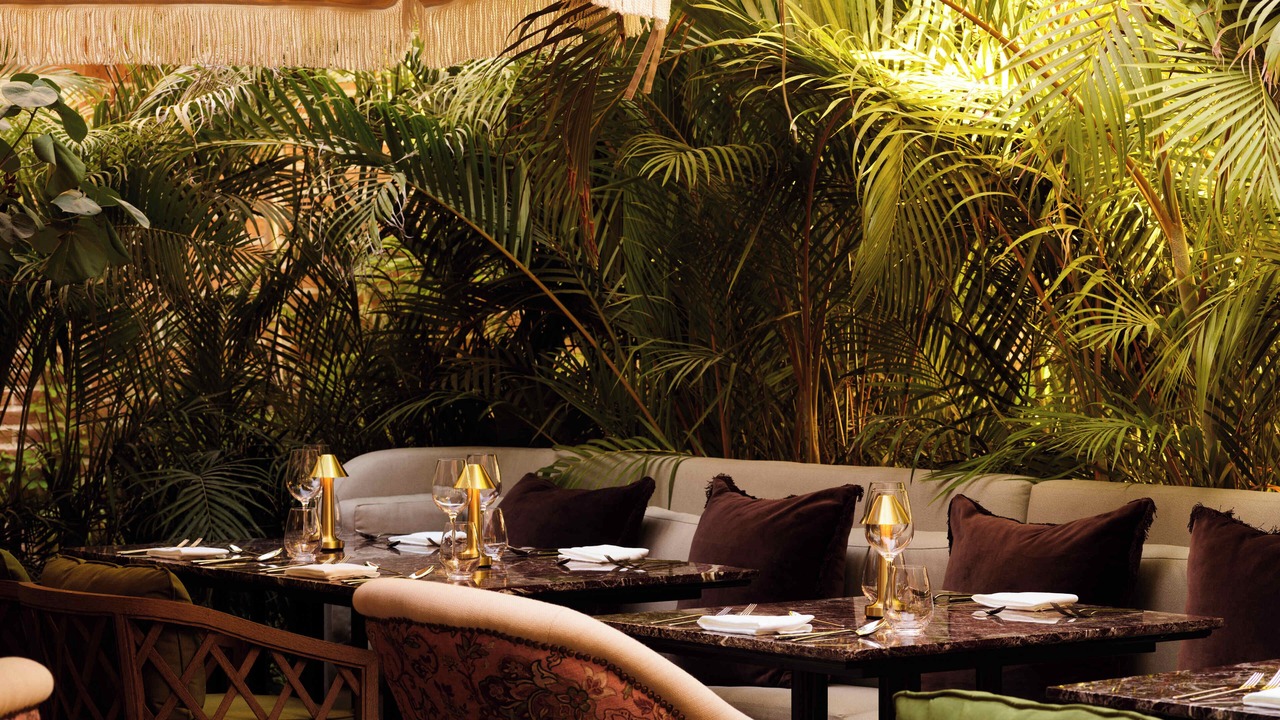 Photo of Outdoor in Todos Santos