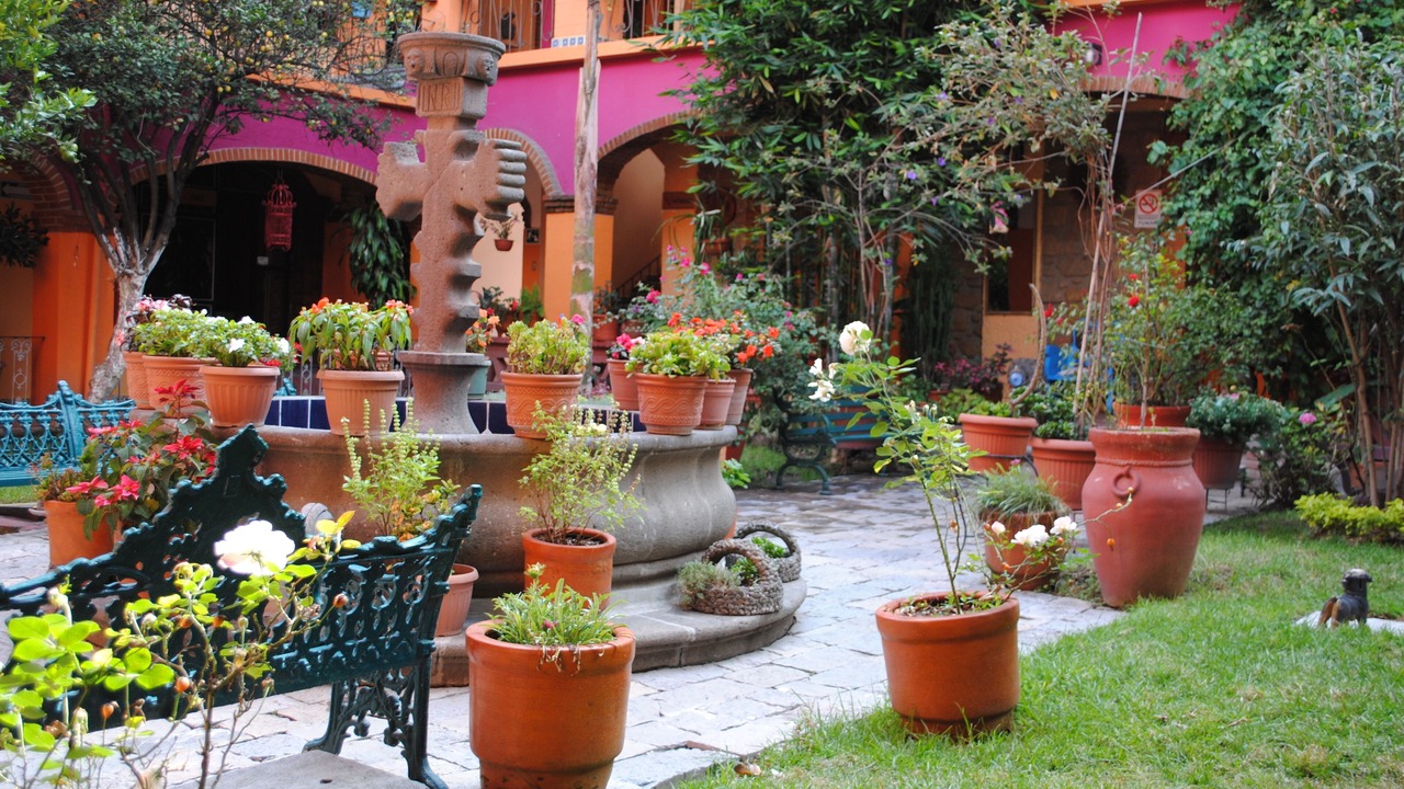 Photo of Outdoor in Tlaxcala