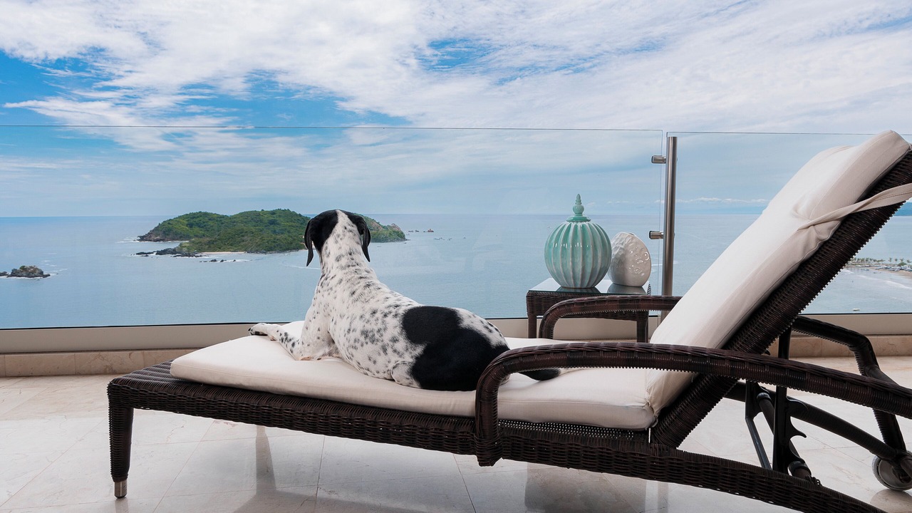 Photo of Outdoor in Ixtapa