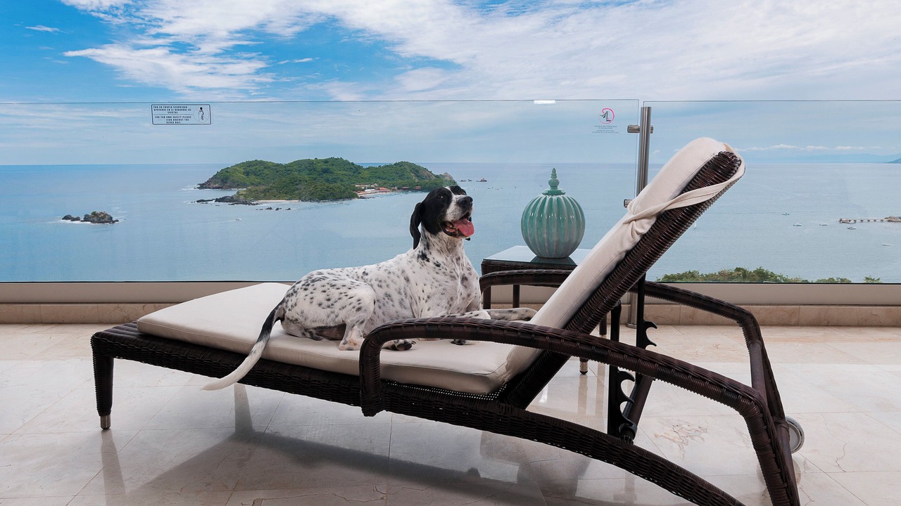 Photo of Others in Ixtapa
