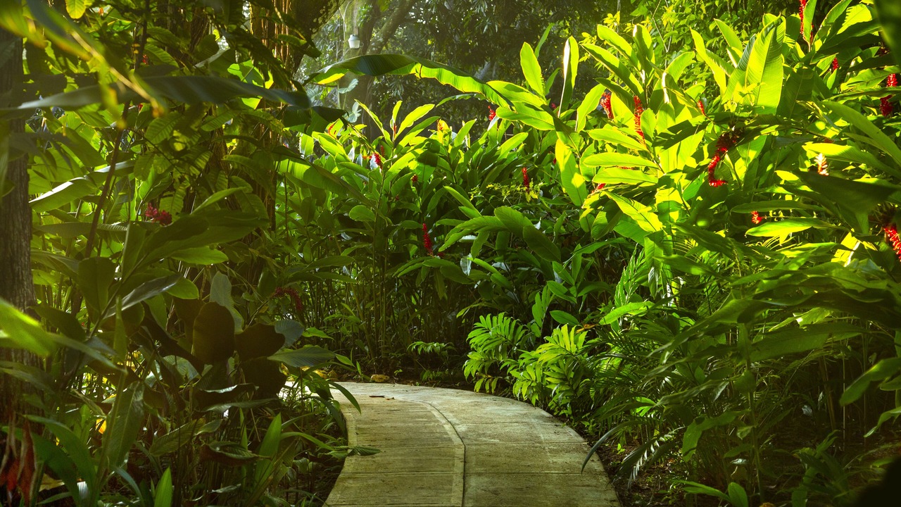 Photo of Outdoor in Palenque