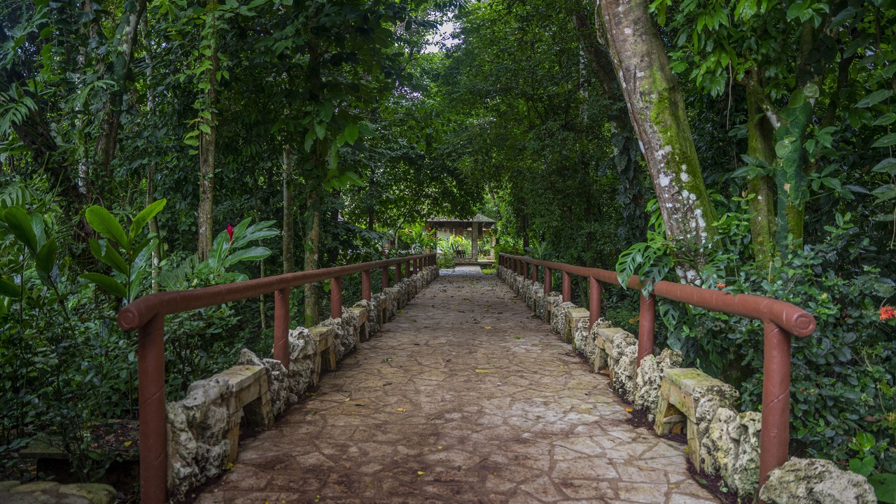 Photo of Others in Palenque