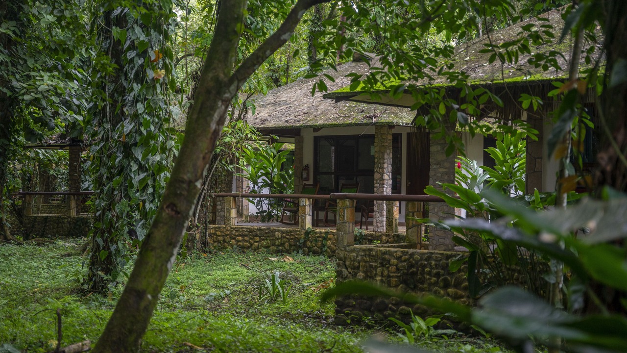 Photo of Outdoor in Palenque