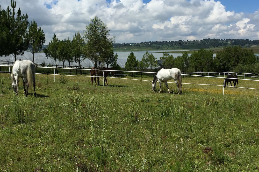 Photo of Outdoor in Villa Victoria
