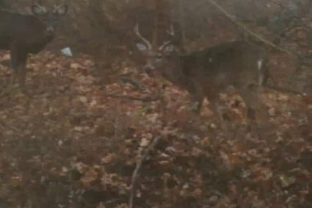 Photo of Others in Stony Point
