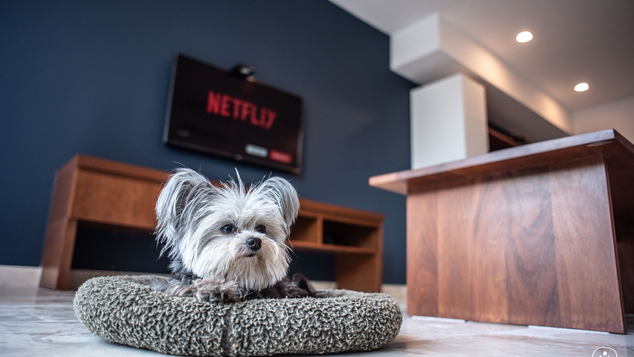 Photo of Others in Zazil-ha