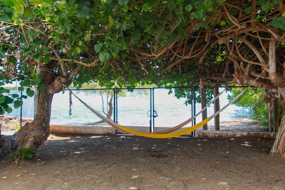 Photo of Others in Navolato