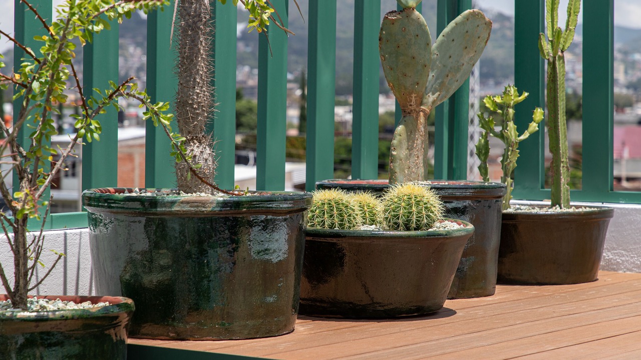 Photo of Outdoor in Oaxaca