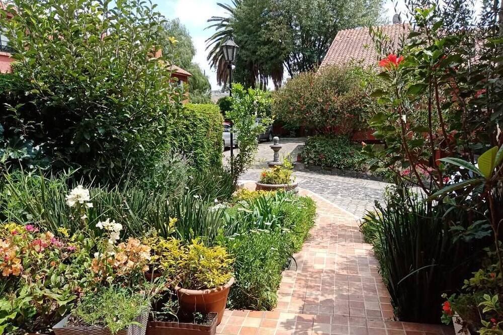 Photo of Outdoor in Magdalena Contreras