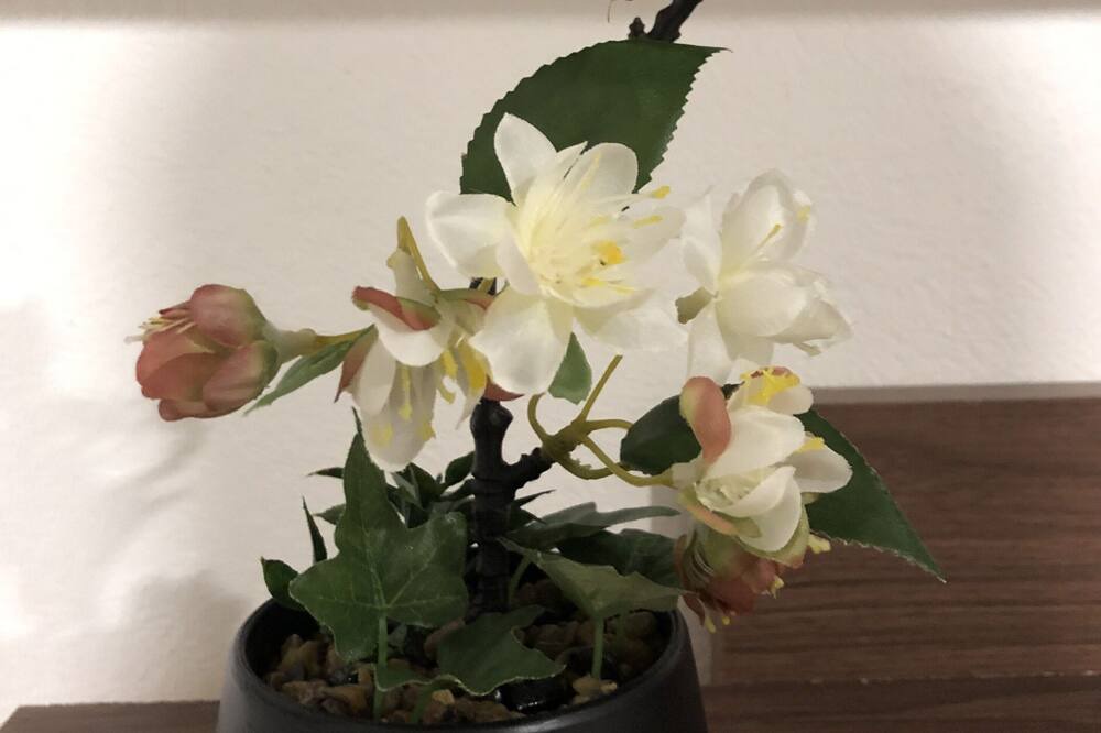 Photo of Others in Boca del Rio