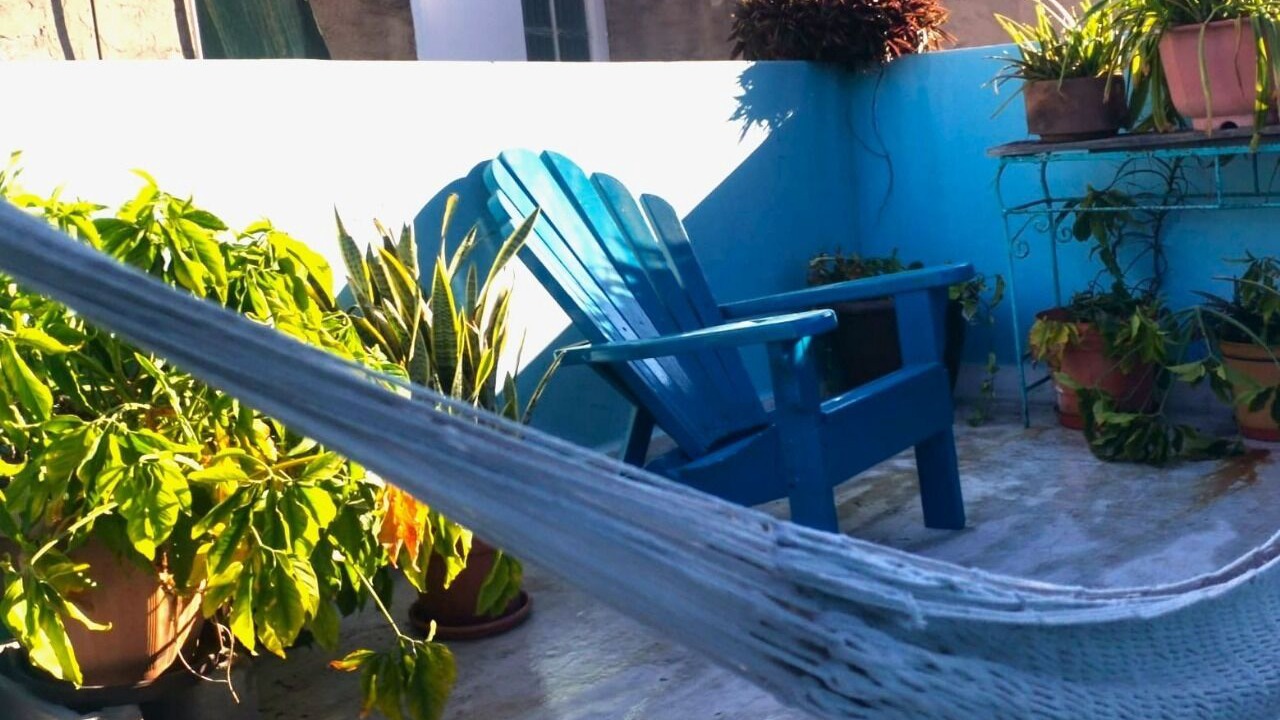 Photo of Others in Downtown Mazatlan
