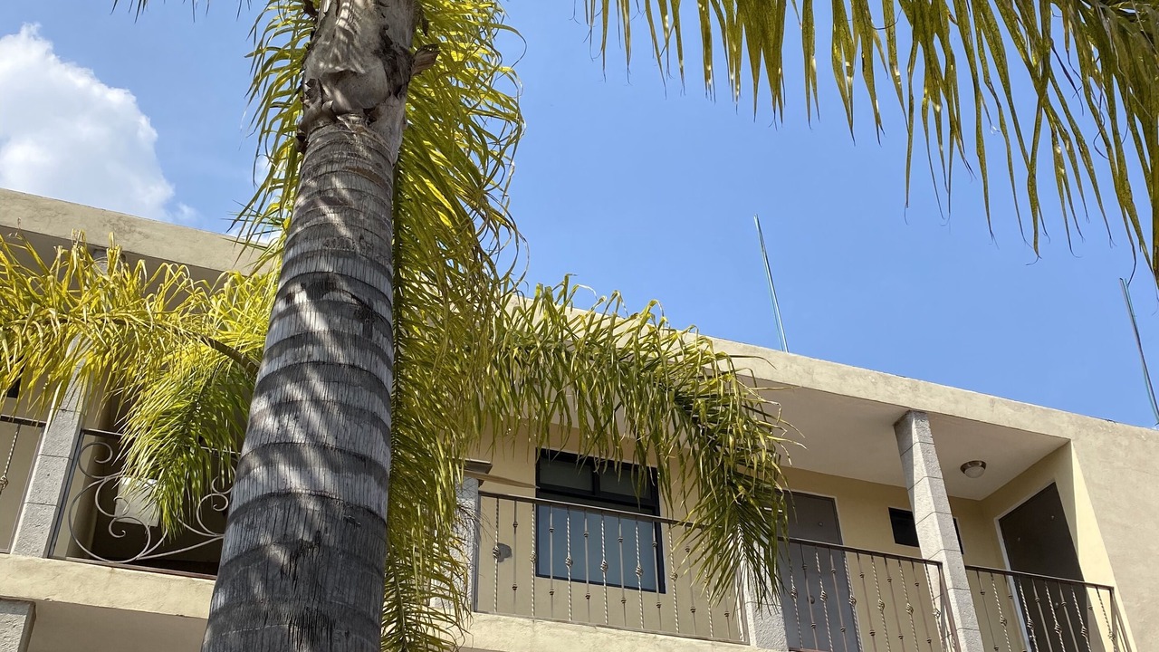 Photo of Outdoor in Tlaxcala