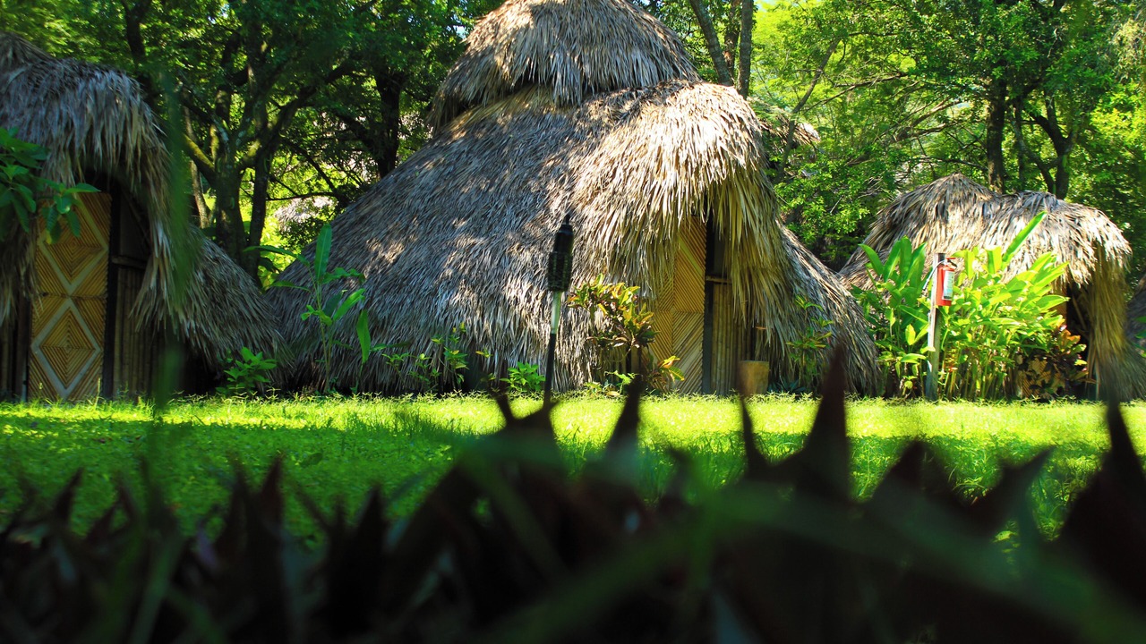 Photo of Outdoor in La Huasteca