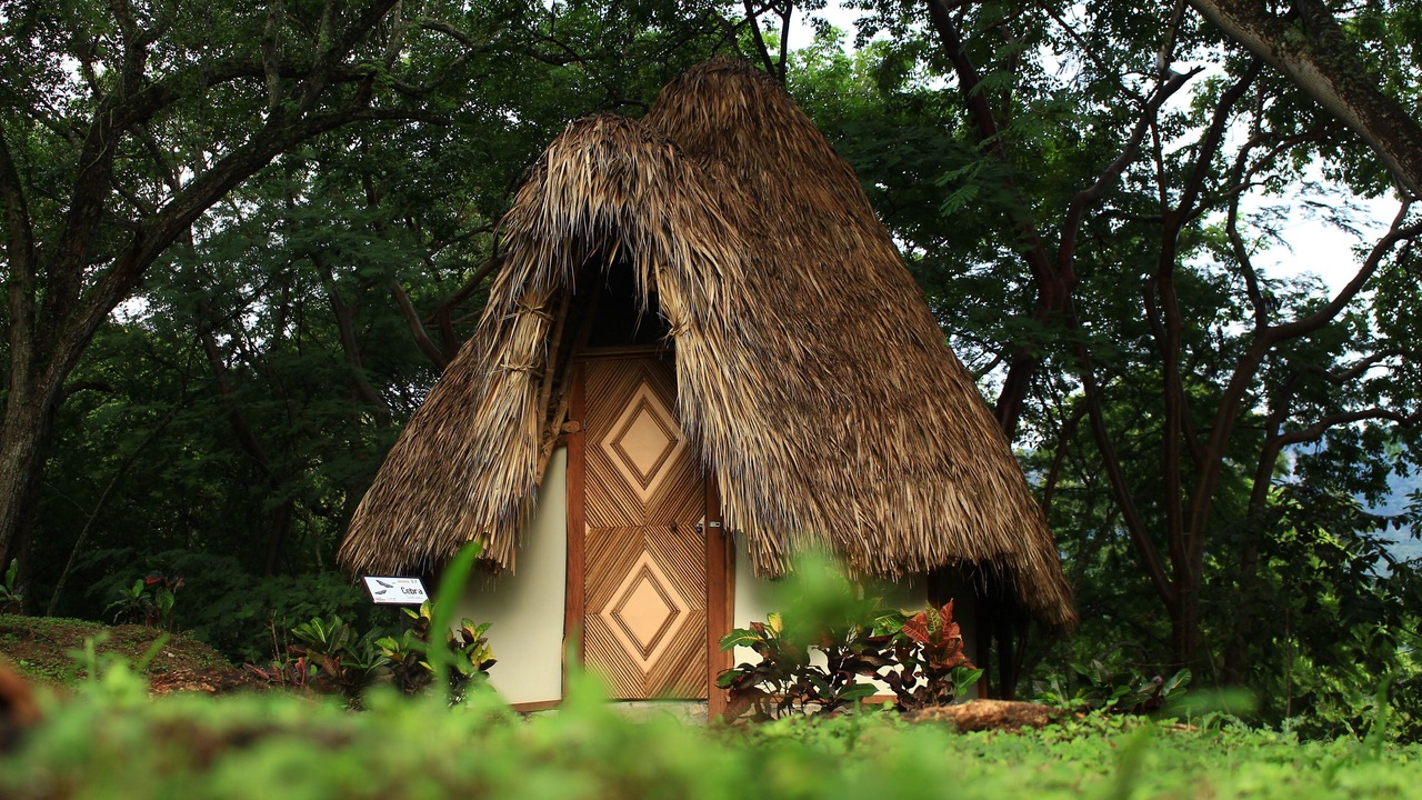 Photo of Bedroom in La Huasteca
