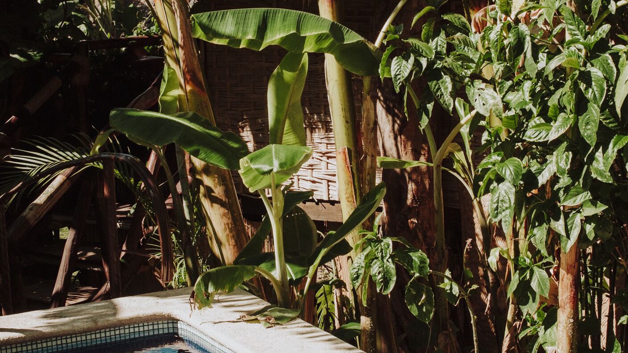 Photo of Outdoor in Riberas del Pilar