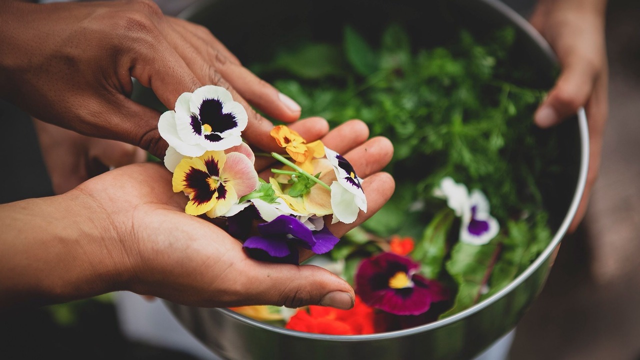 Photo of Outdoor in Jiutepec