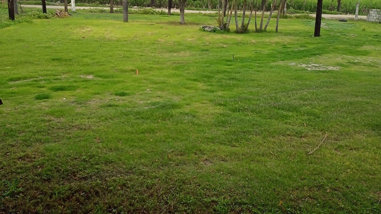 Photo of Outdoor in Tlaquiltenango