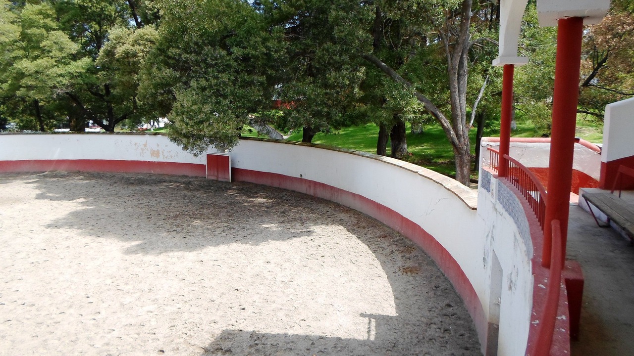 Photo of Others in Ixtlahuaca de Rayon