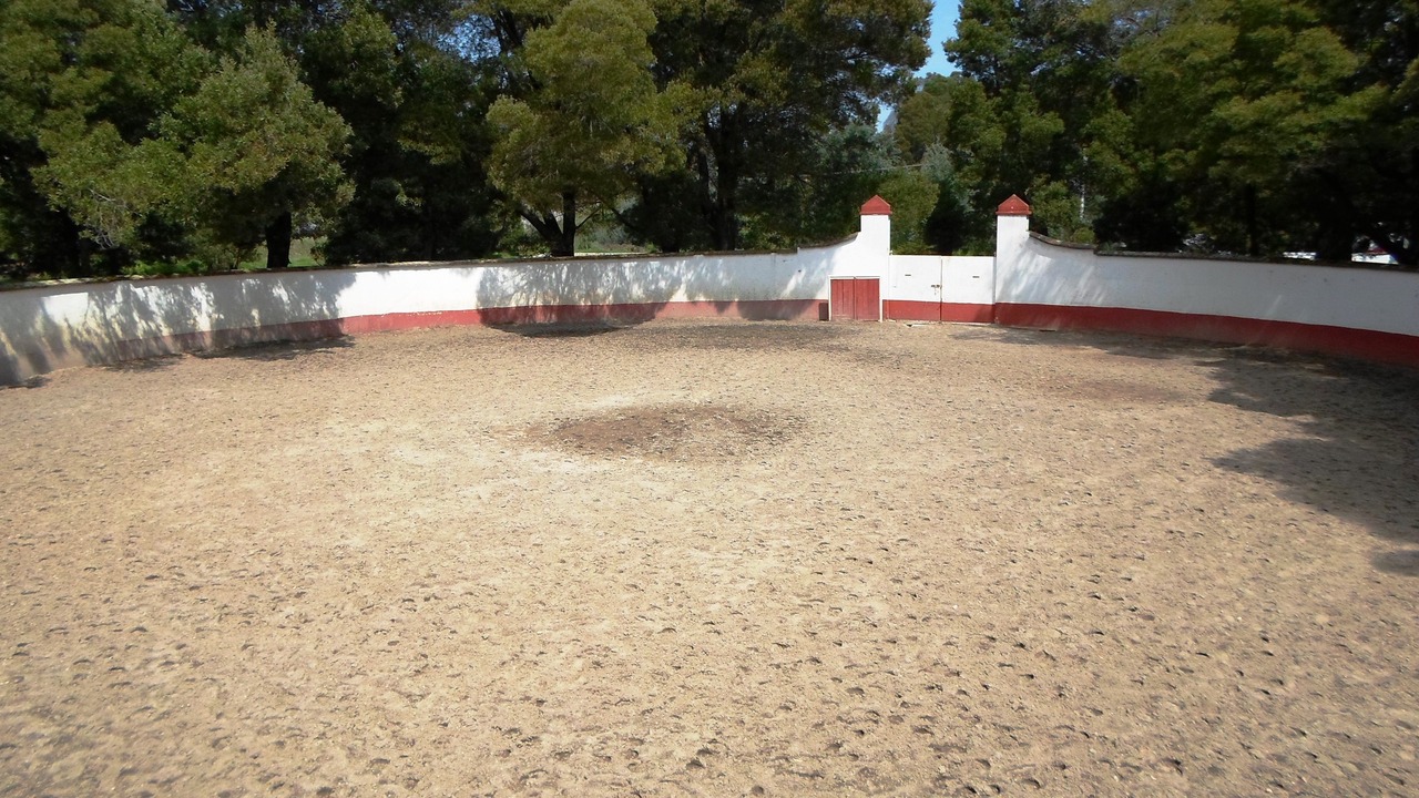 Photo of Others in Ixtlahuaca de Rayon