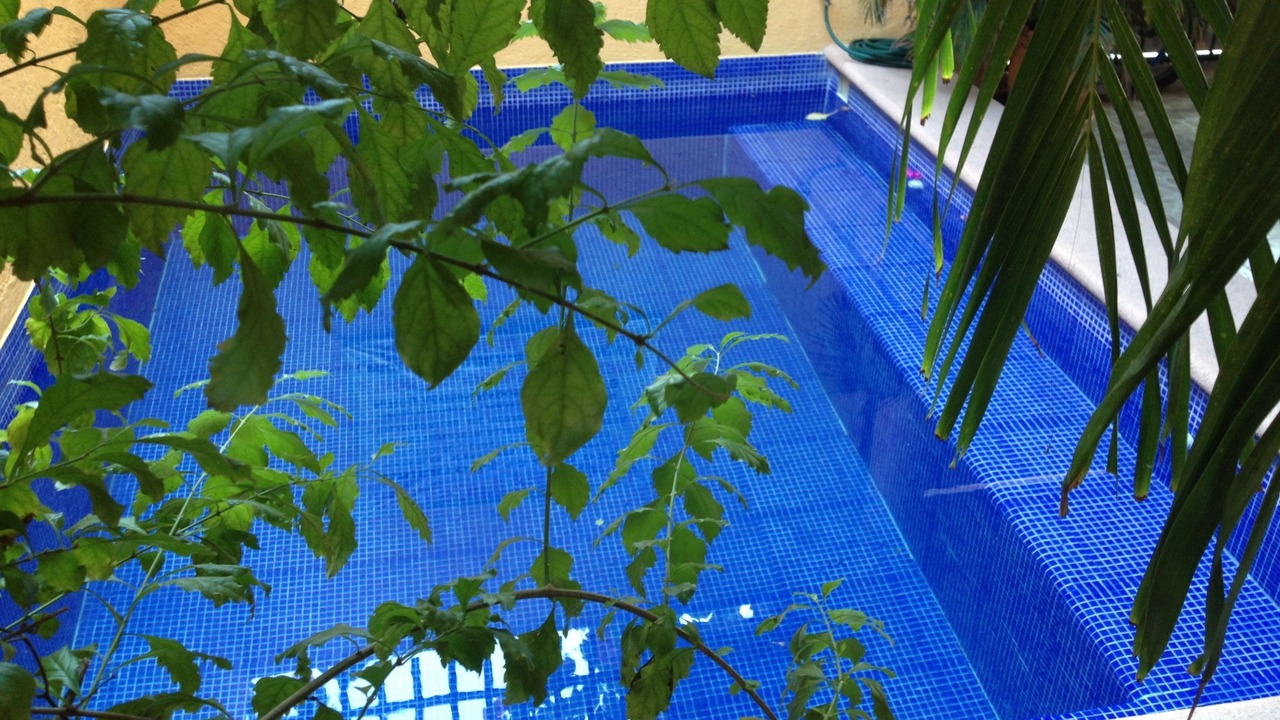 Photo of Outdoor in Zihuatanejo