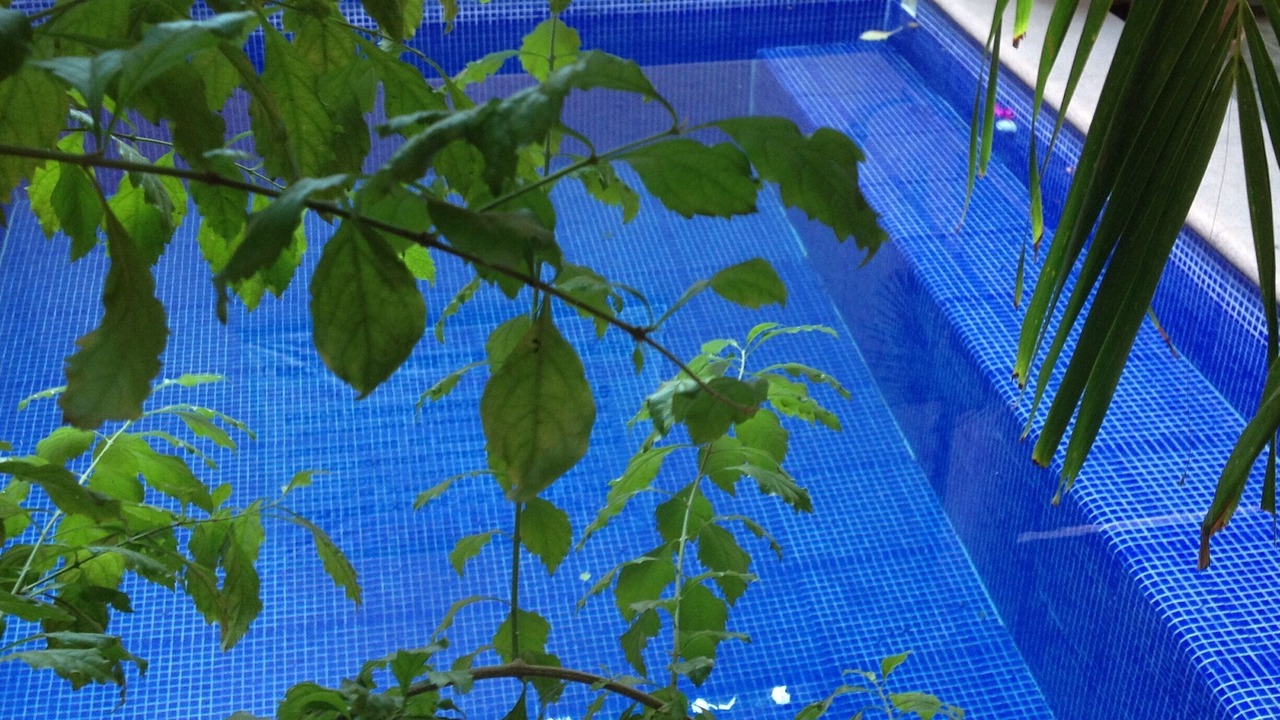 Photo of Outdoor in Zihuatanejo