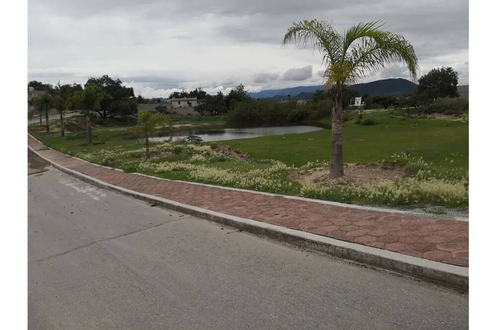 Photo of Others in Teotihuacan