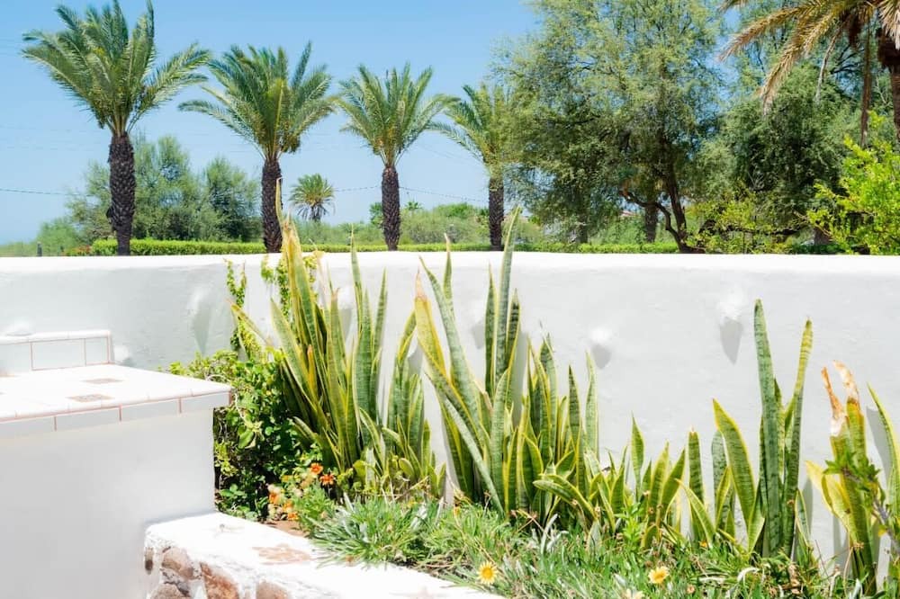 Photo of Others in Mulege
