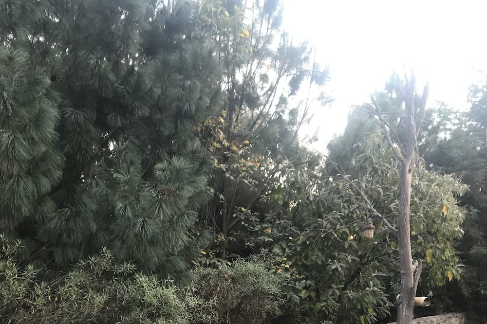 Photo of Outdoor in Huamantla