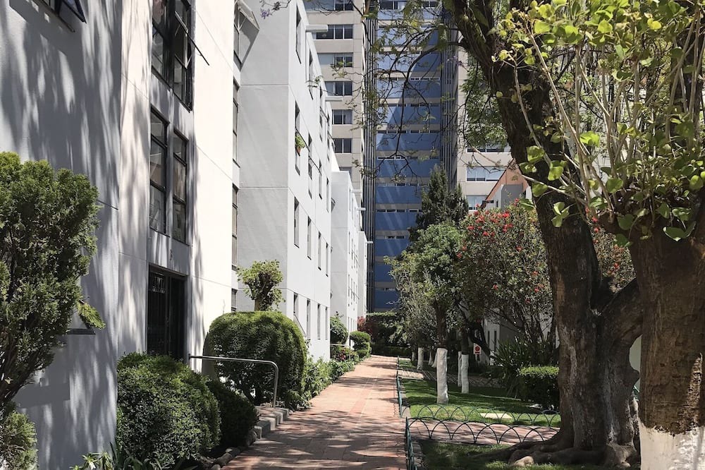 Photo of Outdoor in Coyoacan