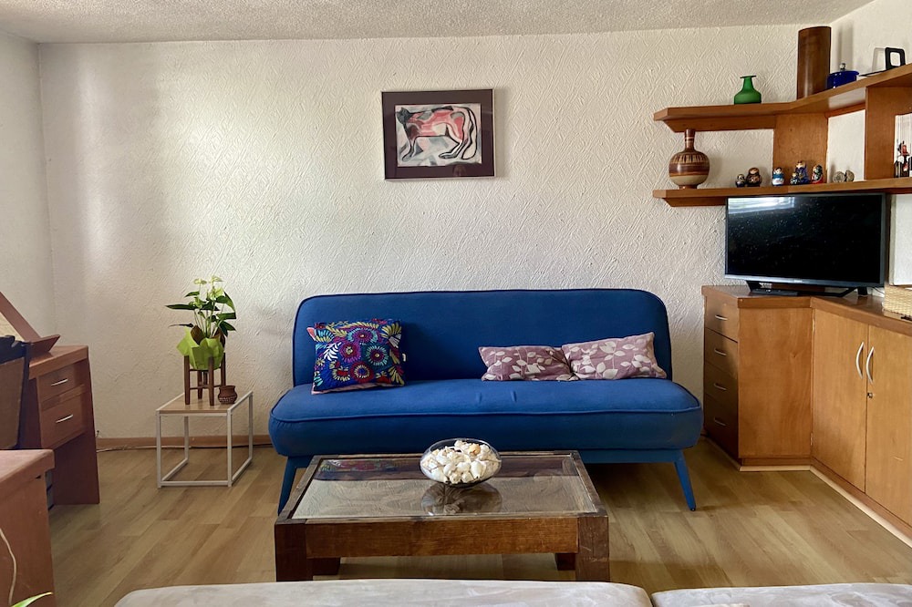Photo of Livingroom in Coyoacan