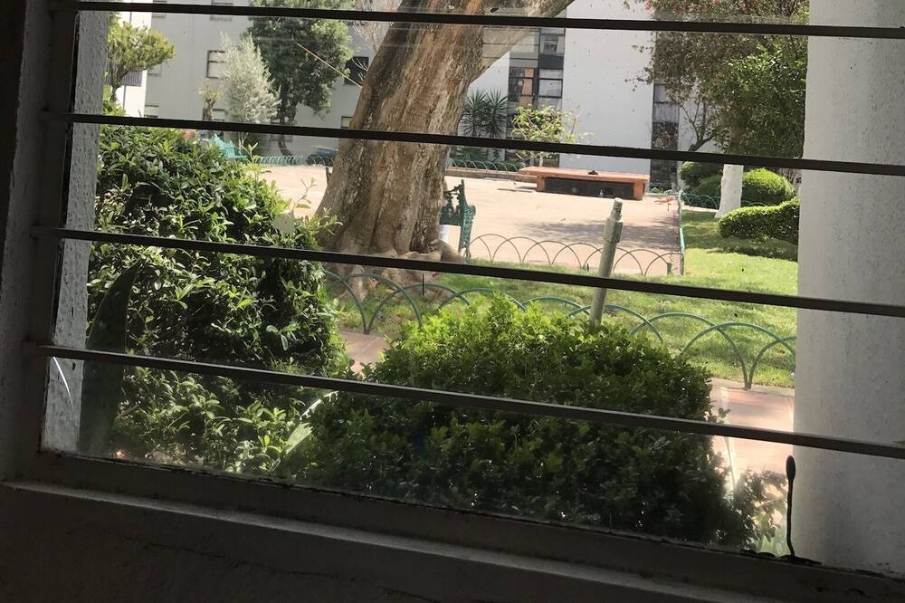 Photo of Others in Coyoacan
