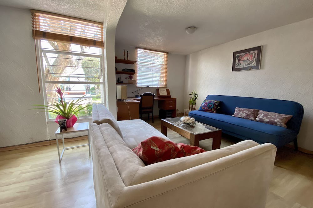 Photo of Livingroom in Coyoacan