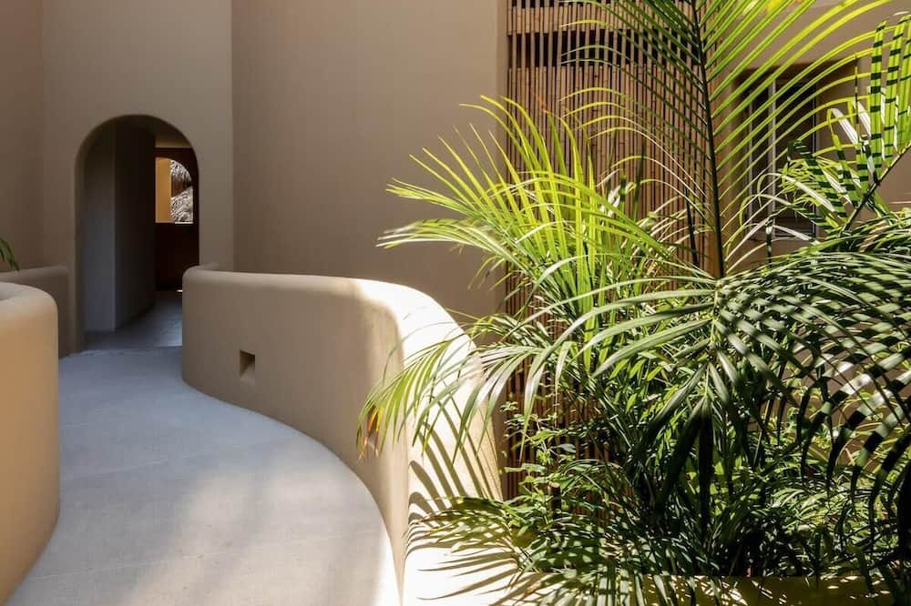 Photo of Others in Playa la Madera