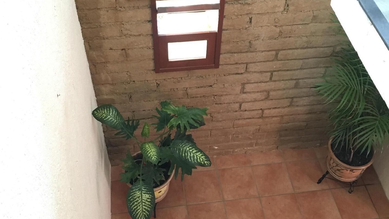 Photo of Outdoor in San Felipe