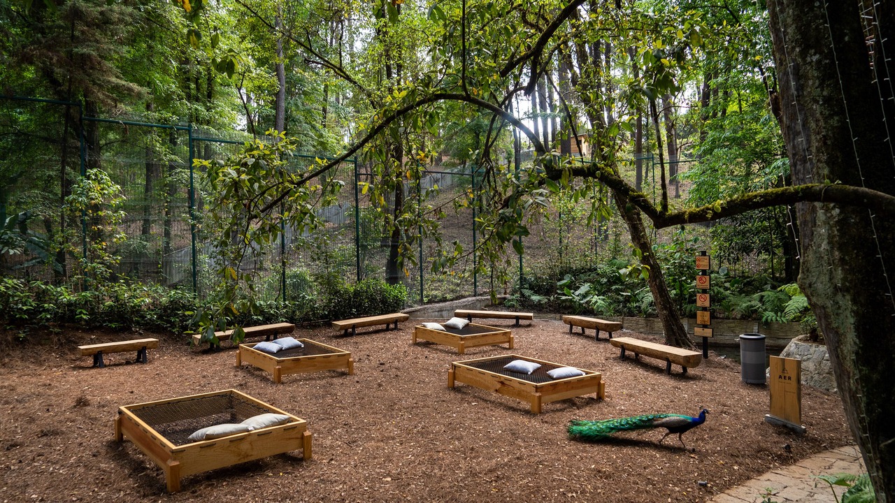 Photo of Outdoor in Valle de Bravo