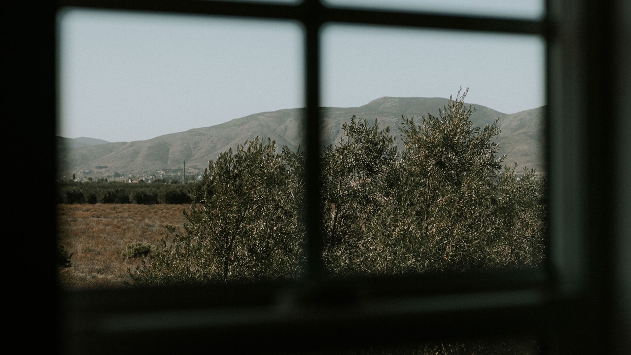 Photo of Others in Valle de Guadalupe