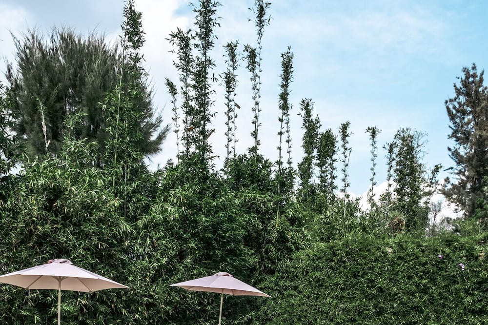 Photo of Outdoor in Morelia