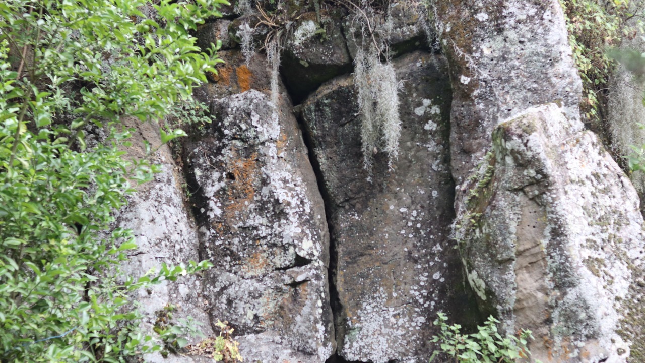 Photo of Others in Chignahuapan