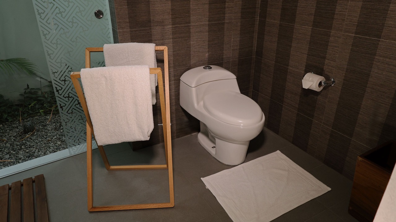 Photo of Bathroom in Xochitepec